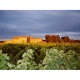 Côtes du Roussillon Mas Baux Grand Red 2023