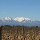 Côtes du Roussillon Mas Baux Velours Rouge 2022