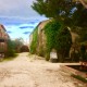 Côtes Catalanes Mas Baux Velours Rouge 2023