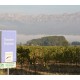 PROVENCE Côtes de Provence Domaine Pinchinat 2023