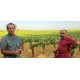 LANGUEDOC Dom. La Colombette Pinot Noir 2021