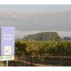 PROVENCE Vin de Pays du Var Domaine Pinchinat Vénus blanc 2023