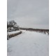 BEAUJOLAIS VILLAGES 2021 SANS SOUFRE Domaine des Nugues