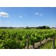 CHEVERNY VDF - REVUE DE PRESSE 2015 Domaine de L'Épicourchois