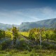 RHÔNE Grignan-les-Adhémar Château Bizard Blanc d'Amour 2021