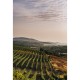 CORSE IGP Île de beauté Domaine Sant'Armettu Cuvée Mino rouge 2022