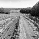 SUD-OUEST Château Mautain Cuvée Ouuula rosé 2021