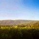 LUBÉRON Domaine Arnia - Michel Blanc - rosé 2021