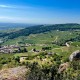 MÂCON-IGÉ Domaine Normand Château London 2021