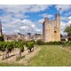 SAINT-ÉMILION SANS SOUFRE AJOUTÉ Château Forge Céleste 2018