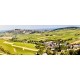 SANCERRE La Baronne 2023 Bernard Fleuriet et Fils
