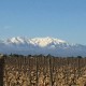 CÔTES CATALANES Mas Baux Loulou Sans Soufre ajouté 2022