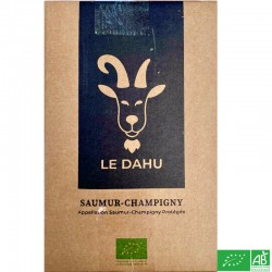 SAUMUR-CHAMPIGNY - Domaine des Varinelles - BIB 5L Le Dahu 2023