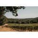 LANGUEDOC AOP - Château-Bas d'Aumelas - Château-Bas blanc 2023