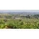 LANGUEDOC - Villa Roca - Le P'tit Roca rouge 2024