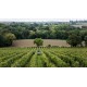 ANJOU Domaine de Haute Perche Anjou Blanc 2024
