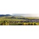 ALSACE - Domaine Baumann-Zirgel - Riesling Streng 2022