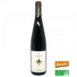 ALSACE - Domaine Baumann-Zirgel - Pinot Noir Racines 2023