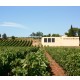 LANGUEDOC Le Blanc Chemin 2022 IGP Pays d’Hérault-Mont Baudile Les Chemins de Carabote - Caisse de 6 bouteilles dont 1 gratuite