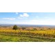 CHIROUBLES Domaine Matray et Filles Le Truges 2023
