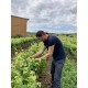 LANGUEDOC - AOP Languedoc Pézenas - Domaine du Clos Roca - Guillaume 2023