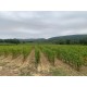 PIC SAINT LOUP Mas de Figuier Cuvée Jean 2023