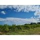 PIC SAINT LOUP Mas de Figuier Cuvée Jean 2023
