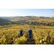 BOURGOGNE MÂCON-DAVAYÉ Domaine de la Croix Senaillet 2023