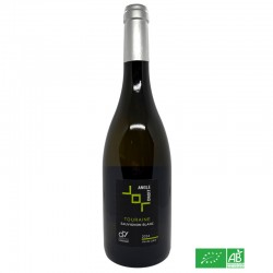TOURAINE Sauvignon blanc - Angle Droit 2024 - Domaine Delobel