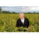 SABLE DE CAMARGUE AOP- Domaine de la Fourmi Guiraud - Gris Rosé 2025