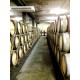 RHÔNE IGP Collines Rhodaniennes 100% Syrah Famille Combier 2025
