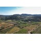 FITOU - Domaine Montluzia - Coup 2 foudres Rouge 2023