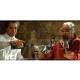 IGP Pays d'Hérault - Domaine La Colombette - Belle Rive - Souvignier Gris 2025