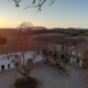 LANGUEDOC - Vin de France - Château Coujan - Culottée
